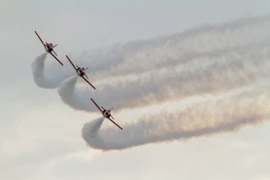 Uçak Casa C-101 Patrulla Aguila