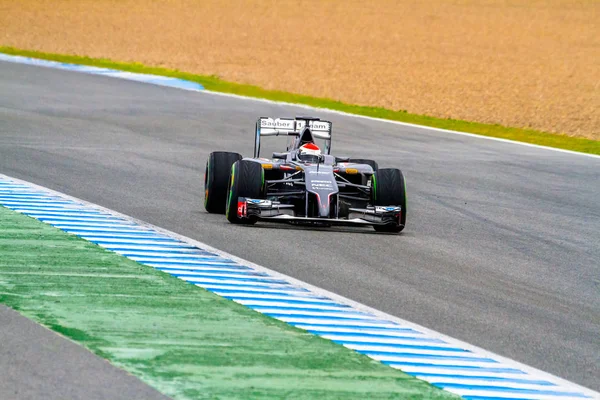 Zespół sauber f1, adrian sutil, 2014 — Zdjęcie stockowe