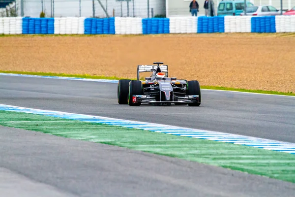 Equipe Sauber F1, Adrian Sutil, 2014 — Fotografia de Stock