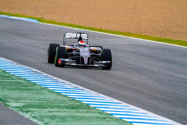 Team Sauber F1, Adrian Sutil, 2014 — Stock Photo, Image