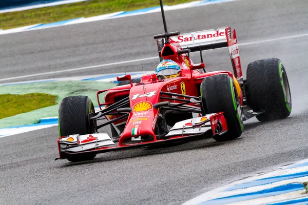 Team Scuderia Ferrari F1, Fernando Alonso, 2014 — Stockfoto