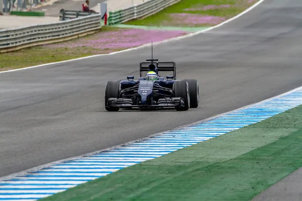 Équipe Williams F1, Felipe Massa, 2014 — Photo