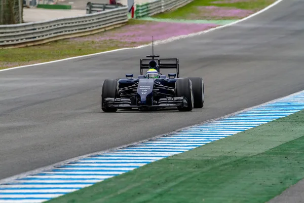 Williams f1, felipe massa, 2014 takım