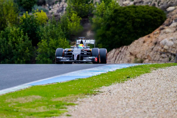Takımı Sauber F1, Esteban Gutierrez, 2014