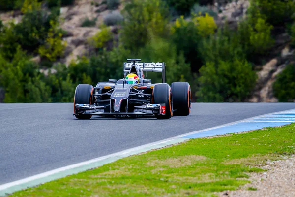 Team Sauber F1, Esteban Gutierrez, 2014 — Stock Photo, Image