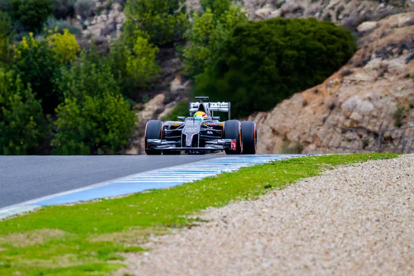 Team Sauber F1, Esteban Gutierrez, 2014 — Stockfoto