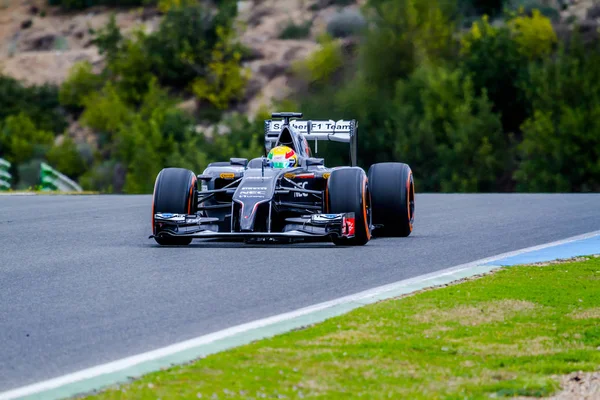 Team Sauber F1, Esteban Gutierrez, 2014 — Stock Photo, Image