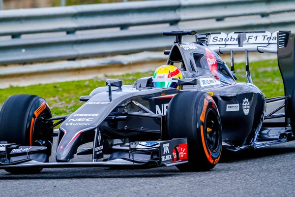 Team Sauber F1, Esteban Gutierrez, 2014 — Foto Stock