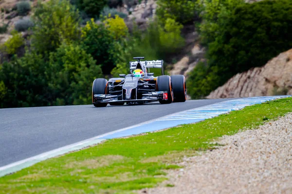 Takımı Sauber F1, Esteban Gutierrez, 2014 — Stok fotoğraf