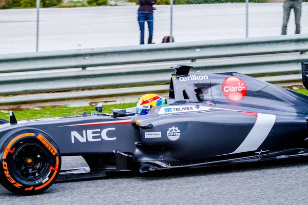 Tým Sauber F1, Esteban Gutierrez, 2014 — Stock fotografie