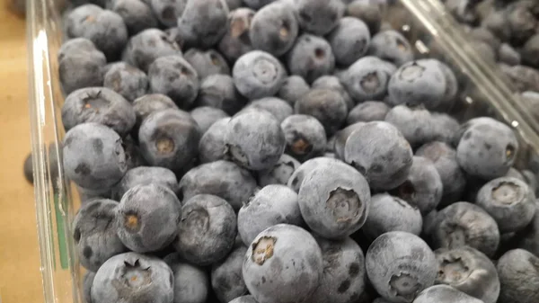 Fresh Blueberries Market — Stock Photo, Image