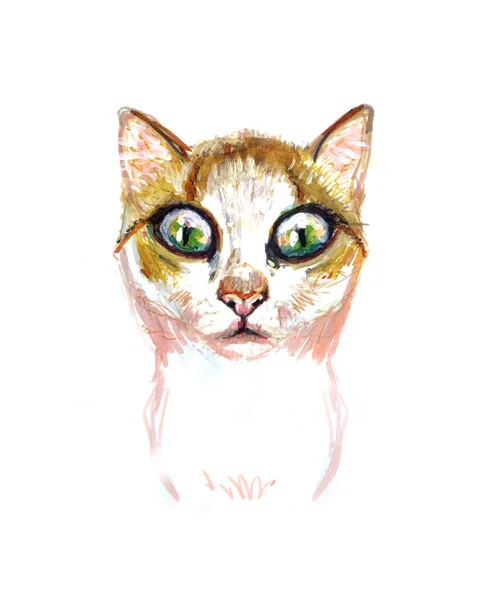 Акварельная Иллюстрация Кота — стоковое фото
