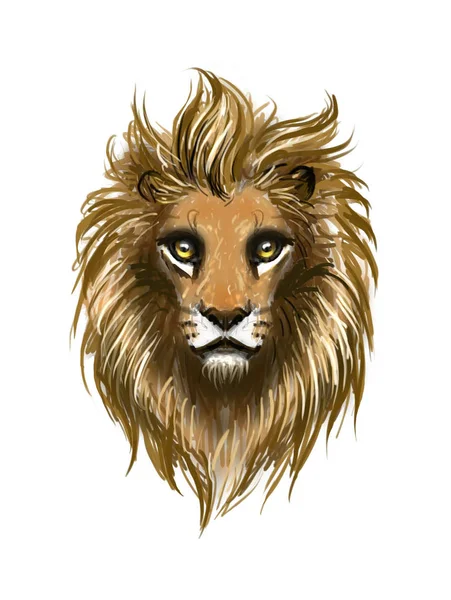 Lion Transparent Background Isolated — Stock Photo, Image