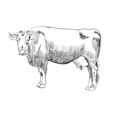 Vektör renk soyut illüstrasyon 