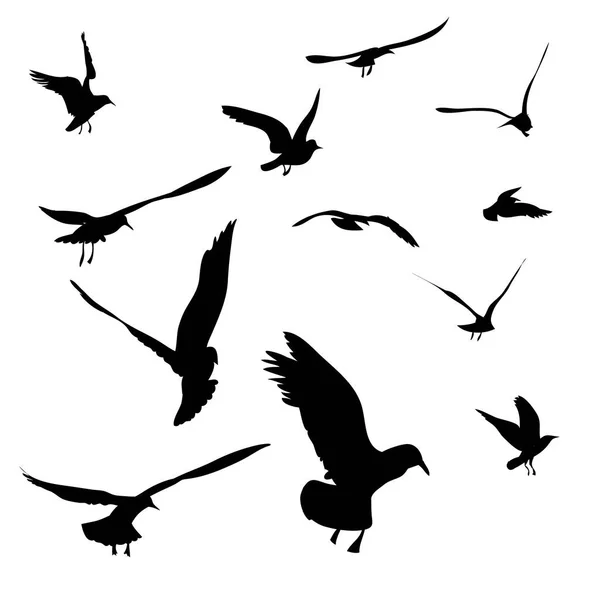 Siluetas Aves Volando Cielo — Vector de stock