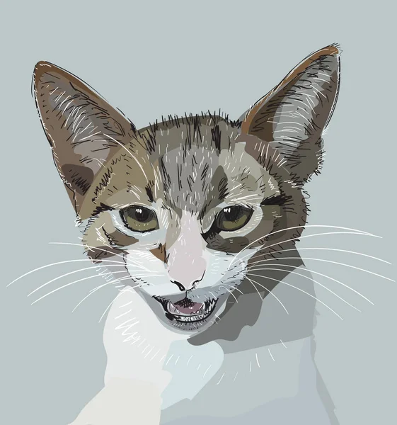 Engraçado Gato Conjunto Vetor Ilustração — Vetor de Stock