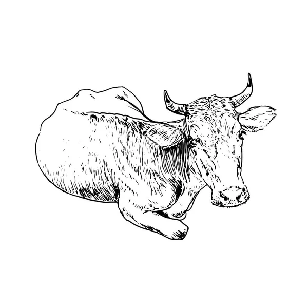 Illustration Abstraite Vache Couleur Vectorielle — Image vectorielle