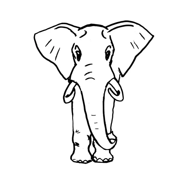 Ilustración Vectorial Elefante Lindo — Archivo Imágenes Vectoriales