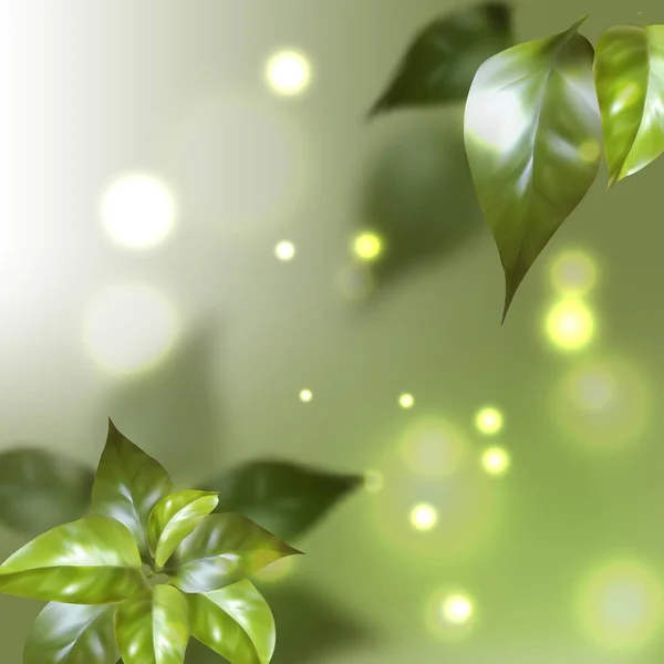 Зеленые Листья Флора Листва — стоковый вектор