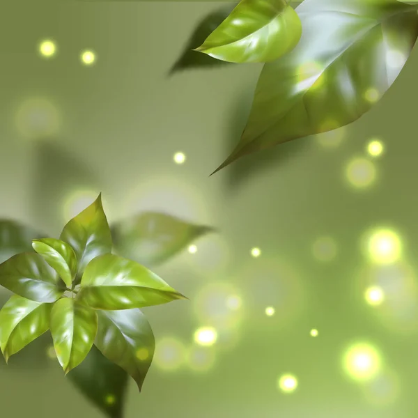 Feuilles Flore Feuillage Verts — Image vectorielle