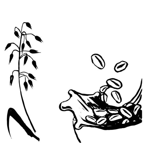 Illustration Flocons Granola Inscription Lettrage — Image vectorielle