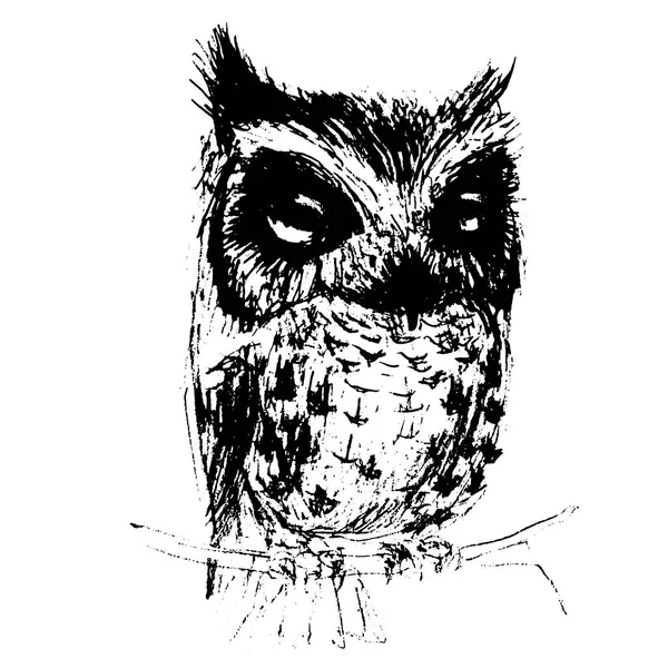 Black White Owl Branch — 图库矢量图片