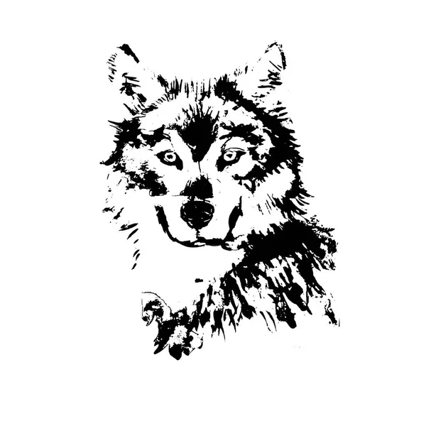 Εικονογράφηση Λύκος Διάνυσμα Ακουαρέλα — Διανυσματικό Αρχείο