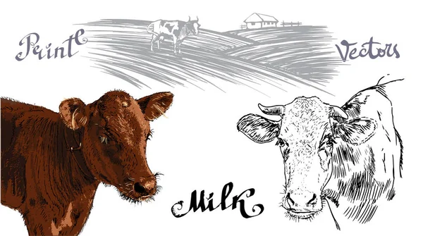 Vaca Animales Granja Vector Leche — Archivo Imágenes Vectoriales