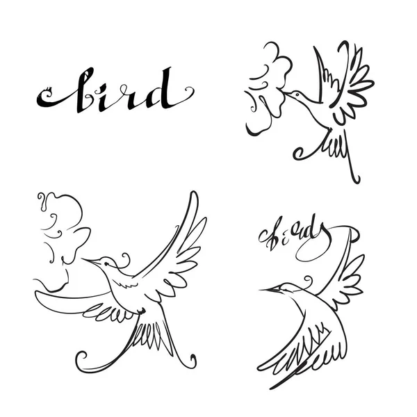 Colibri Oiseau Ensemble Vecteur Logo — Image vectorielle