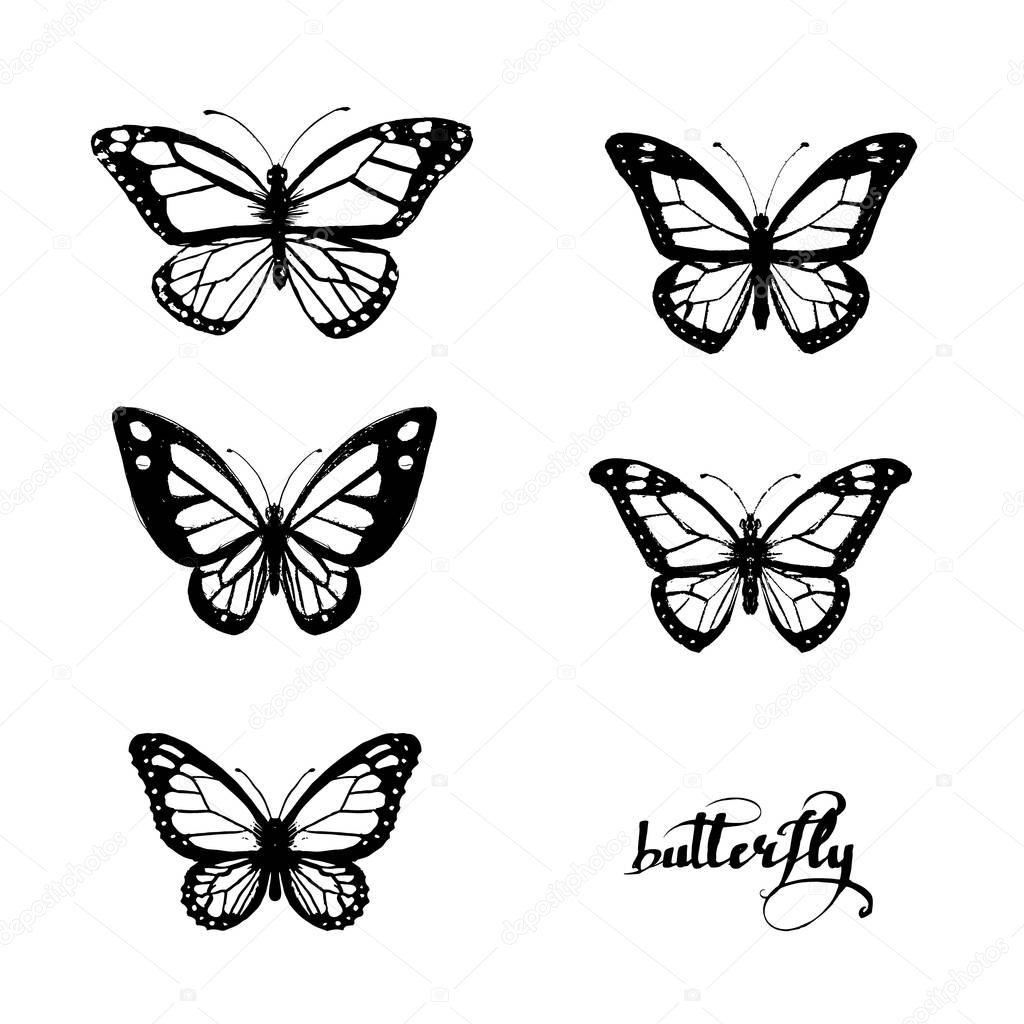 butterfly set vector logo