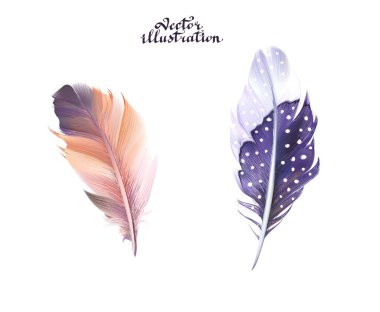 tüyleri vektörel logo ayarlamak