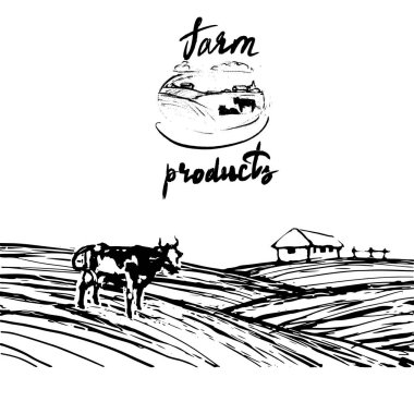 inek, tarım ürünleri, süt, logo, siluet, vektör