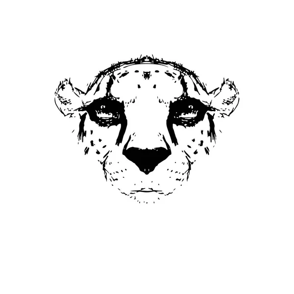 Cheetah Head Avatar Vector Character — Stock Vector