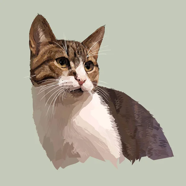 komik kedi vektör logo ayarlamak