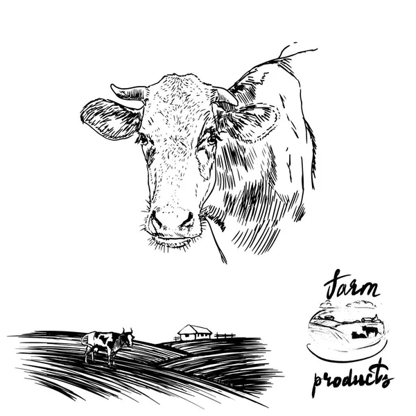 Vaca Produtos Agrícolas Leite Logotipo Silhueta Vetor — Vetor de Stock