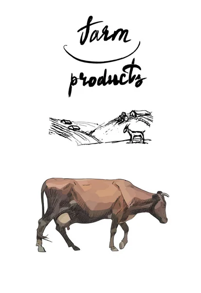 Vaca Produtos Agrícolas Leite Logotipo Silhueta Vetor —  Vetores de Stock