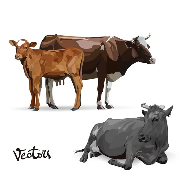 Kuh Landwirtschaftliche Produkte Milch Logo Silhouette Vektor — Stockvektor