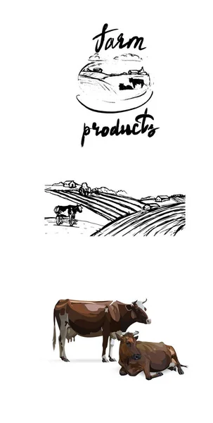 Koe Landbouwproducten Melk Logo Silhouet Vector — Stockvector