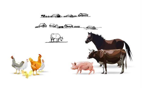 Oie Cheval Poulet Vache Porc Vecteur — Image vectorielle