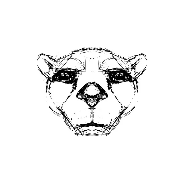 Cheetah Avatar Głowy Wektor Znak — Wektor stockowy