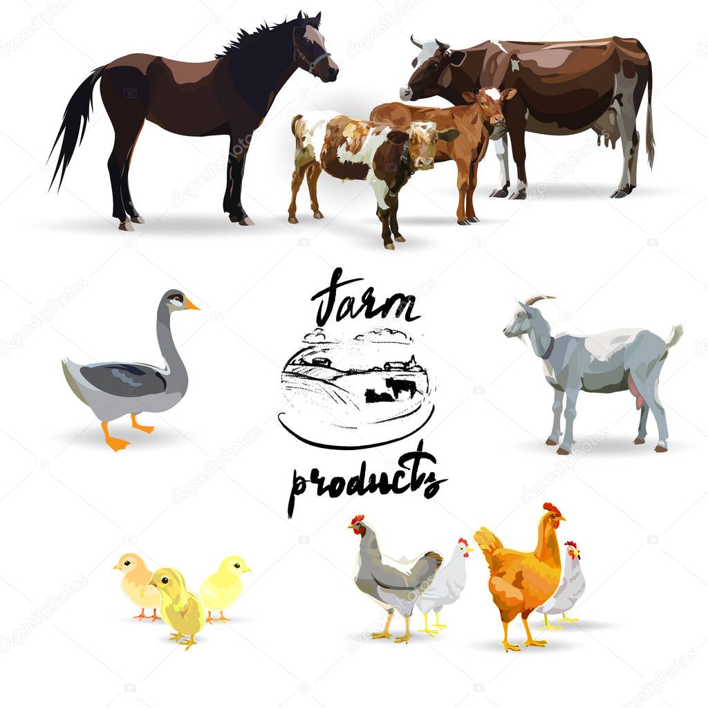 Goose, horse, chicken, cow, pig, vector