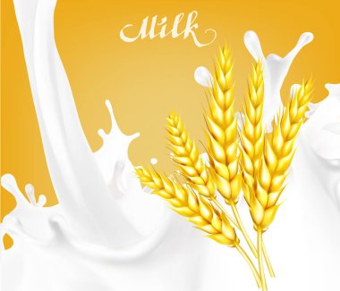 Dikenli buğday ve süt vektörü illüstrasyonu