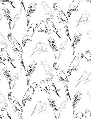 kuşlar papağan ev baskı sorunsuz doku illüstrasyon vektör se