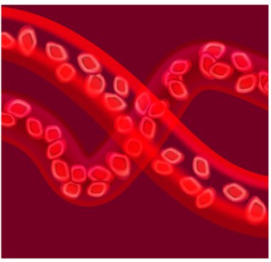 kan damarları illüstrasyon simgesi vektör seti