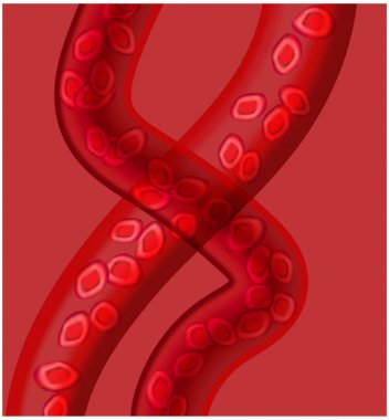 kan kırmızı hücreleri, damarlar 3d gerçekçi illüstrasyon vektör dna moleküler kafes