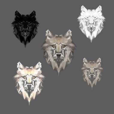 kurt çizimi suluboya vektörü