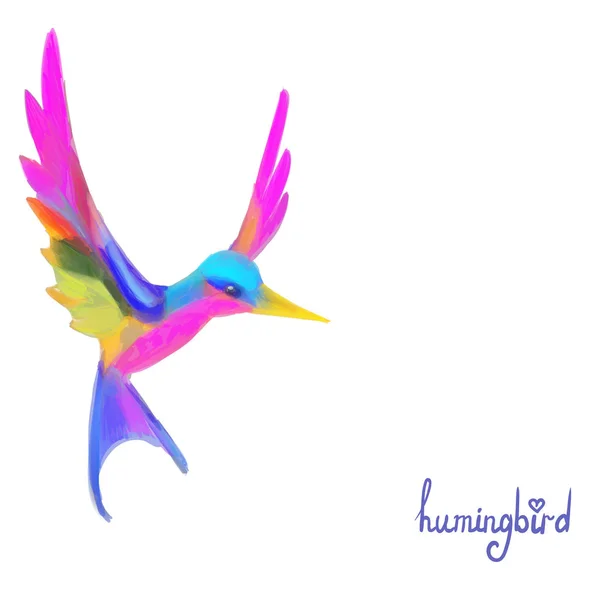 Illustration Vectorielle Colibri Oiseau — Image vectorielle