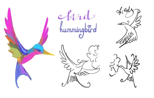 Hummingbird Bird Vector Illustration — Stock Vector