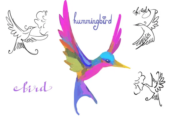 Illustration Vectorielle Colibri Oiseau — Image vectorielle