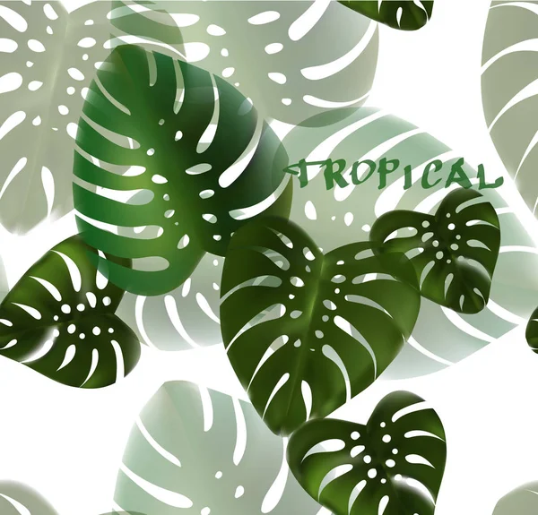 Tropical leaves vector — Stock Vector